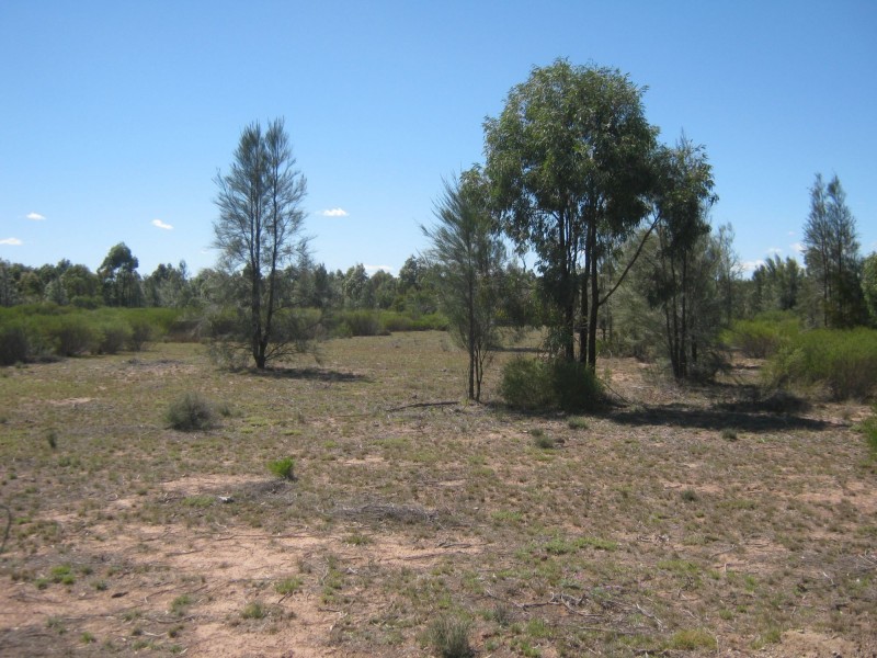 L11 Goodwing Road, Inglewood QLD 4387