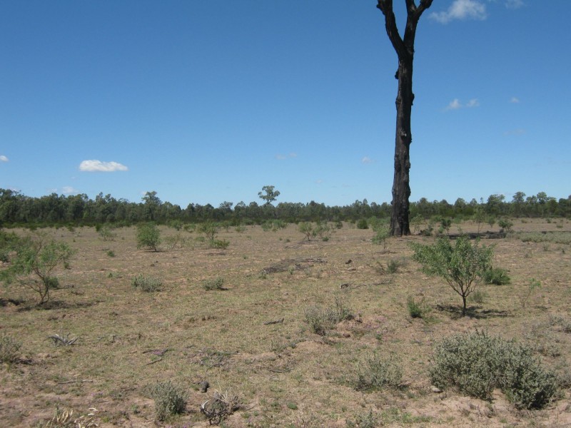 L11 Goodwing Road, Inglewood QLD 4387