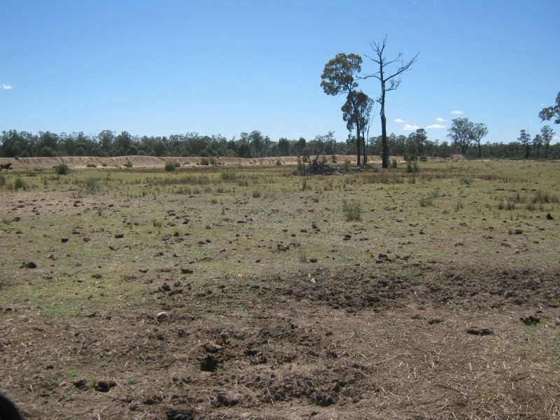 L11 Goodwing Road, Inglewood QLD 4387