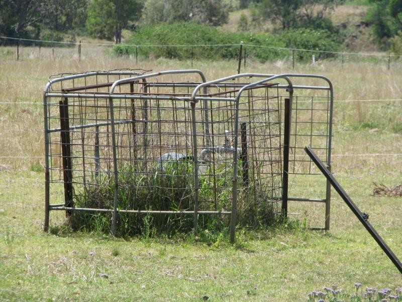 Swanfels QLD 4371