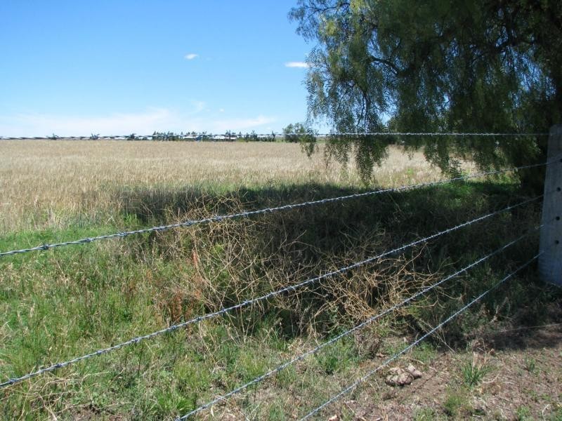Yangan QLD 4371