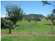 Yangan QLD 4371