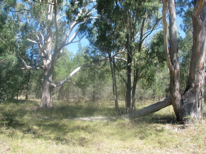 Leyburn QLD 4365