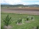 Goomburra QLD 4362