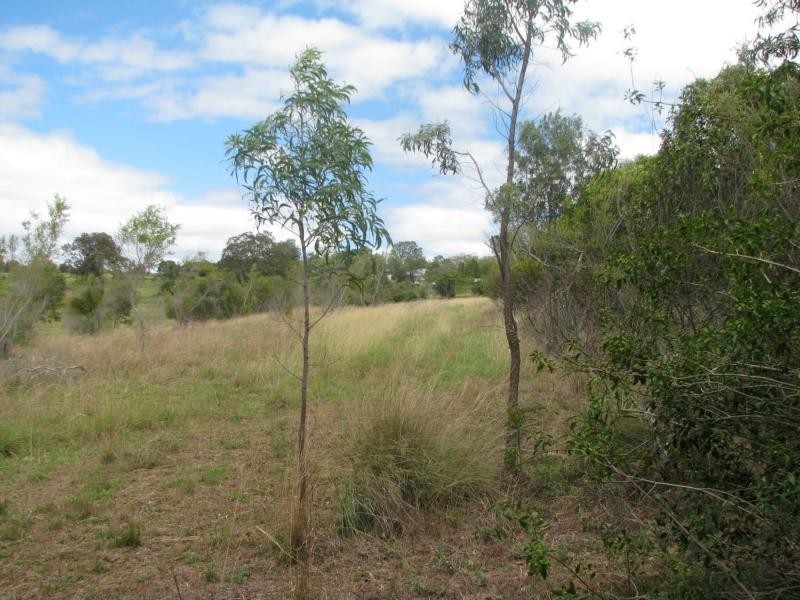 Rosenthal Heights QLD 4370