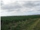 Loch Lomond QLD 4370