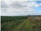 Loch Lomond QLD 4370