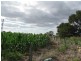 Loch Lomond QLD 4370