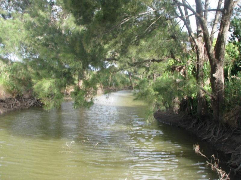 Loch Lomond QLD 4370