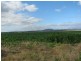 Loch Lomond QLD 4370