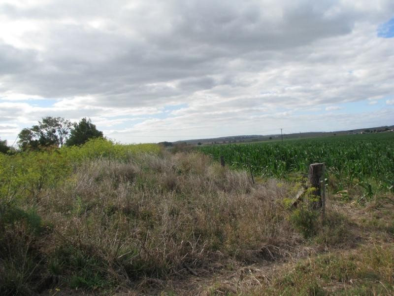 Loch Lomond QLD 4370