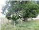 Loch Lomond QLD 4370