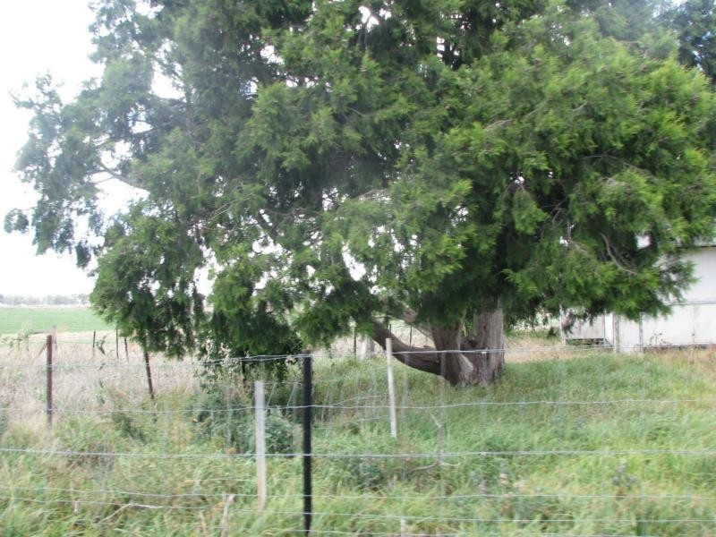 Loch Lomond QLD 4370