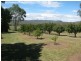 Goomburra QLD 4362