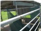 Pratten QLD 4370