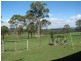 Rosenthal Heights QLD 4370