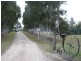 Applethorpe QLD 4378