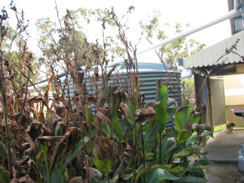 Applethorpe QLD 4378