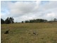 Applethorpe QLD 4378