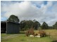 Applethorpe QLD 4378