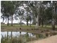 Liston NSW 2372