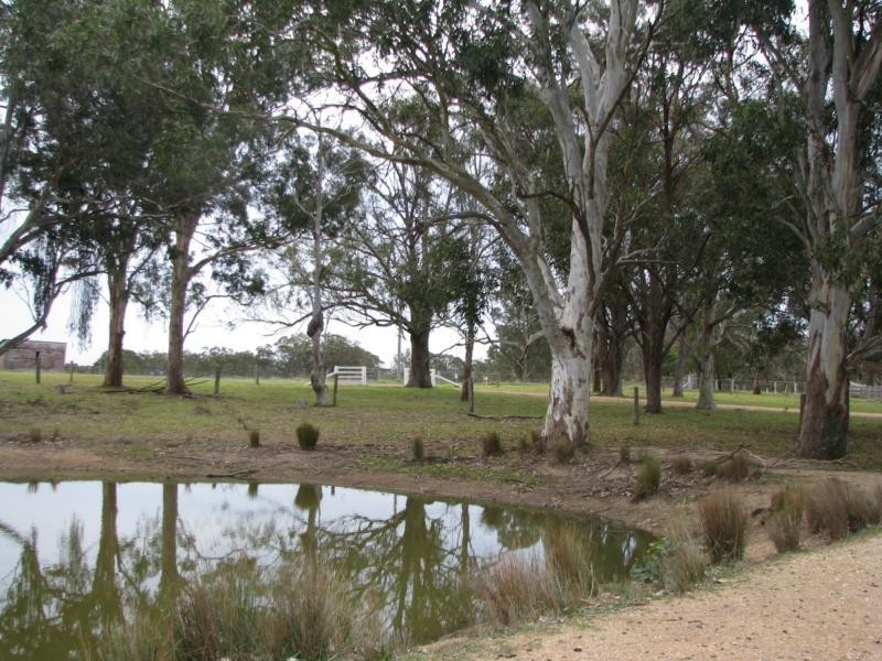 Liston NSW 2372