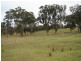 Liston NSW 2372