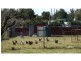 Thulimbah QLD 4376