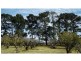Thulimbah QLD 4376