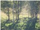 Killarney QLD 4373