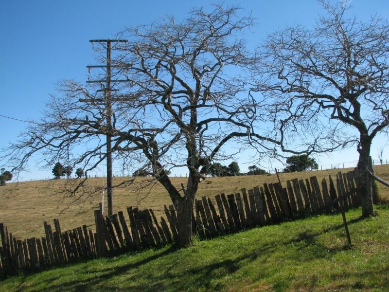 Killarney QLD 4373