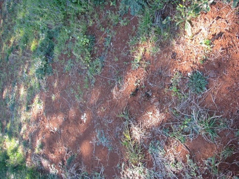 Killarney QLD 4373