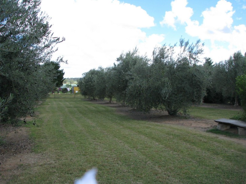 Lot 5 & 6 O’Connell Street, Allora QLD 4362