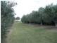 Lot 5 & 6 O’Connell Street, Allora QLD 4362