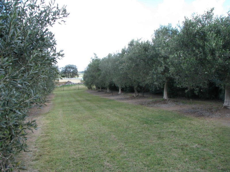 Lot 5 & 6 O’Connell Street, Allora QLD 4362