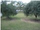 Lot 5 & 6 O’Connell Street, Allora QLD 4362