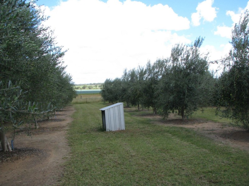 Lot 5 & 6 O’Connell Street, Allora QLD 4362