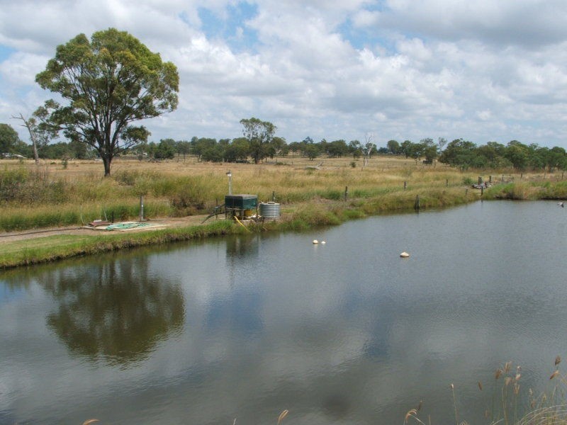 Warwick QLD 4370