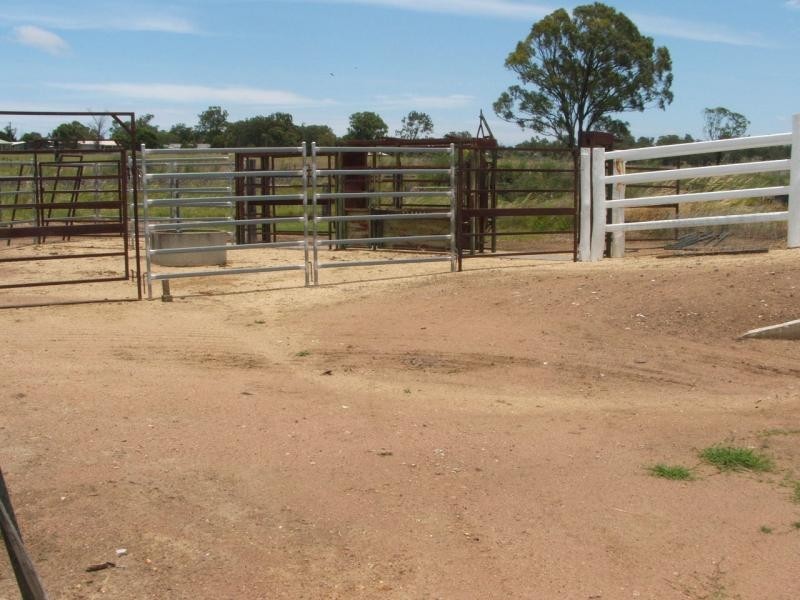 Warwick QLD 4370