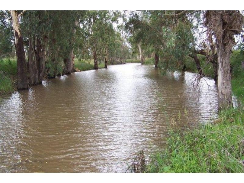 1291 Texas Yelarbon Road, Smithlea Via, Texas QLD 4385