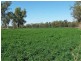 1291 Texas Yelarbon Road, Smithlea Via, Texas QLD 4385