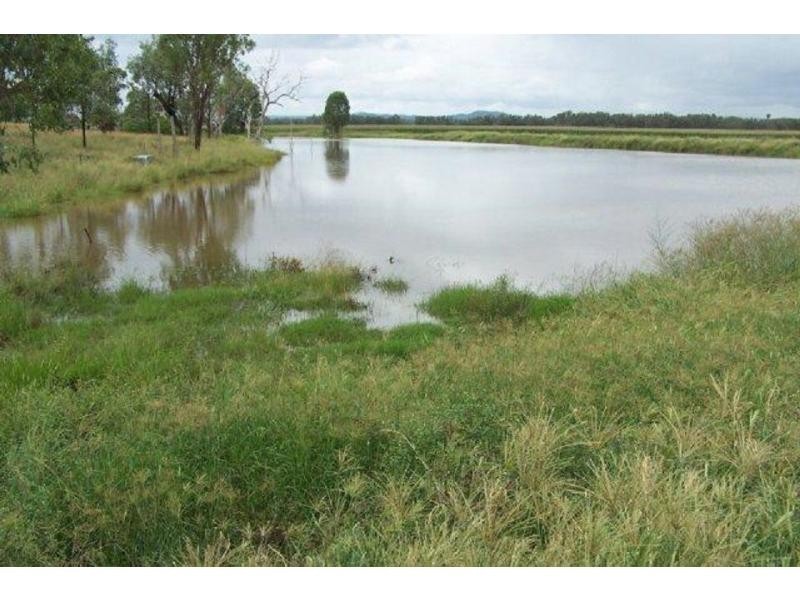 1291 Texas Yelarbon Road, Smithlea Via, Texas QLD 4385