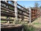 1291 Texas Yelarbon Road, Smithlea Via, Texas QLD 4385