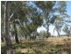 1291 Texas Yelarbon Road, Smithlea Via, Texas QLD 4385