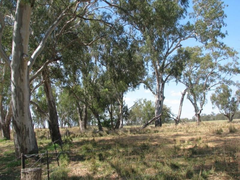 1291 Texas Yelarbon Road, Smithlea Via, Texas QLD 4385