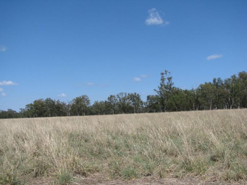 1291 Texas Yelarbon Road, Smithlea Via, Texas QLD 4385