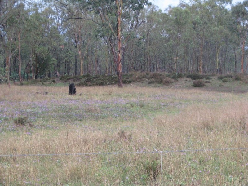 Lot 1 Ahern Lane, Pratten QLD 4370