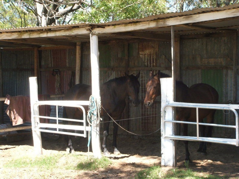 Warwick QLD 4370