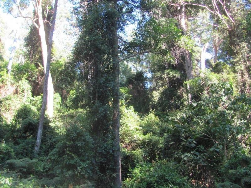 L23 Top Swanfels Road, Swanfels QLD 4371