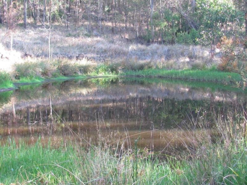 L23 Top Swanfels Road, Swanfels QLD 4371